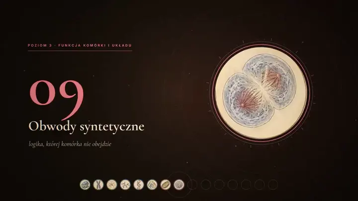 Book Promo Based on Scientific Articles video cover