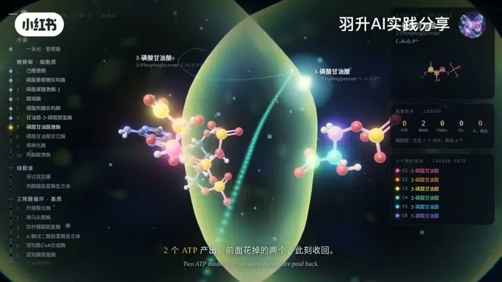Aerobic respiration animation video cover