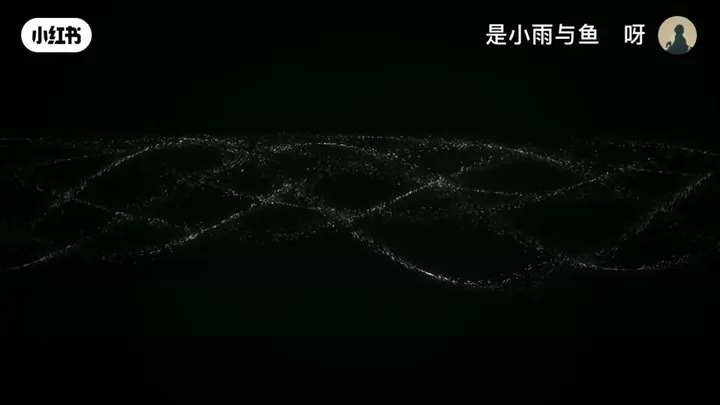 Company Light Network Film video cover